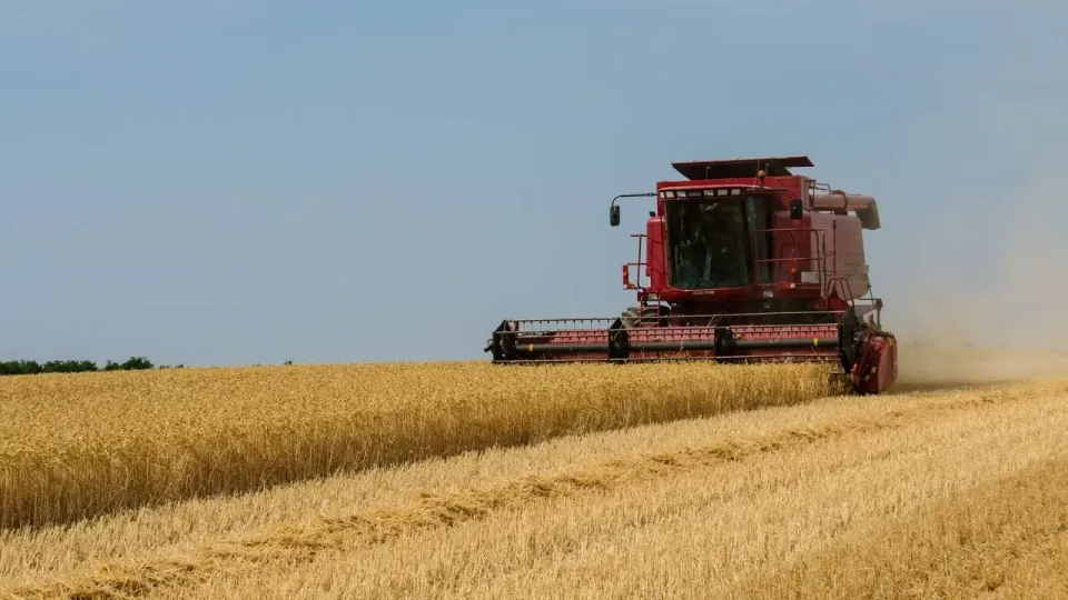 Wheat News - 23 Sep 2024